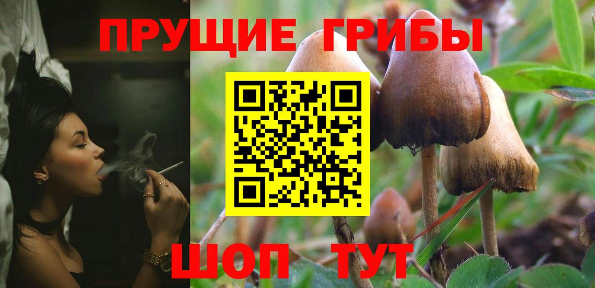  COCAIN Лесозаводск